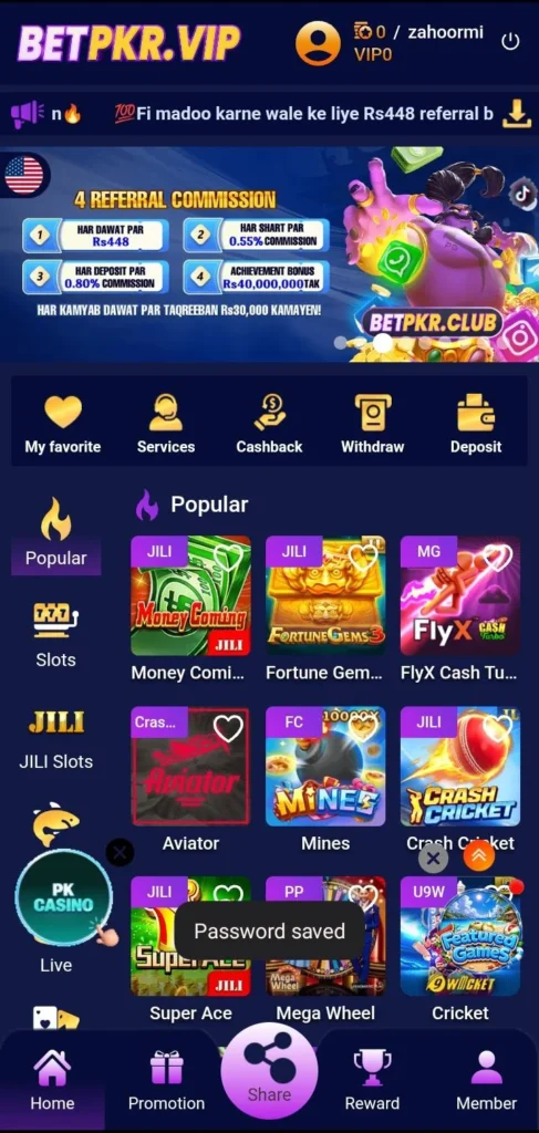 betpkr interface